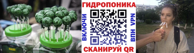 Cannafood конопля  KRAKEN зеркало  Узловая 
