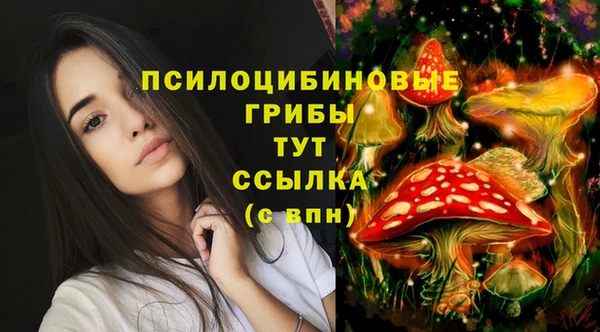 винт Баксан