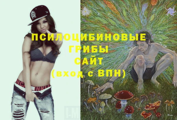 прущие крисы Балабаново