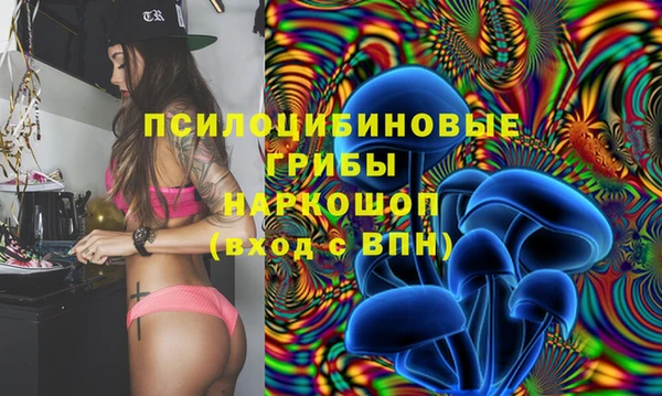 винт Баксан