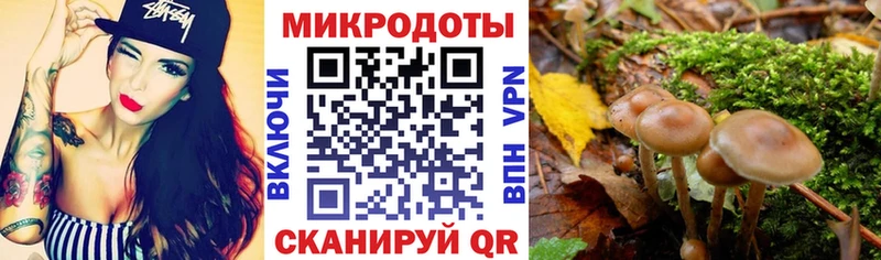 Галлюциногенные грибы Cubensis  Узловая 